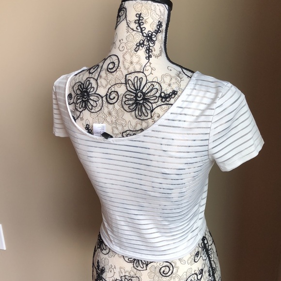 🌻3/$20🌻H&M Divided white sheer striped crop top - Picture 3 of 4